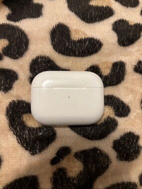 AirPods Pro Charging Case (No headphones)